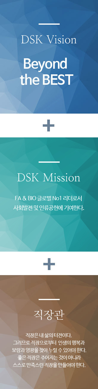 DSK 비젼 및 미션